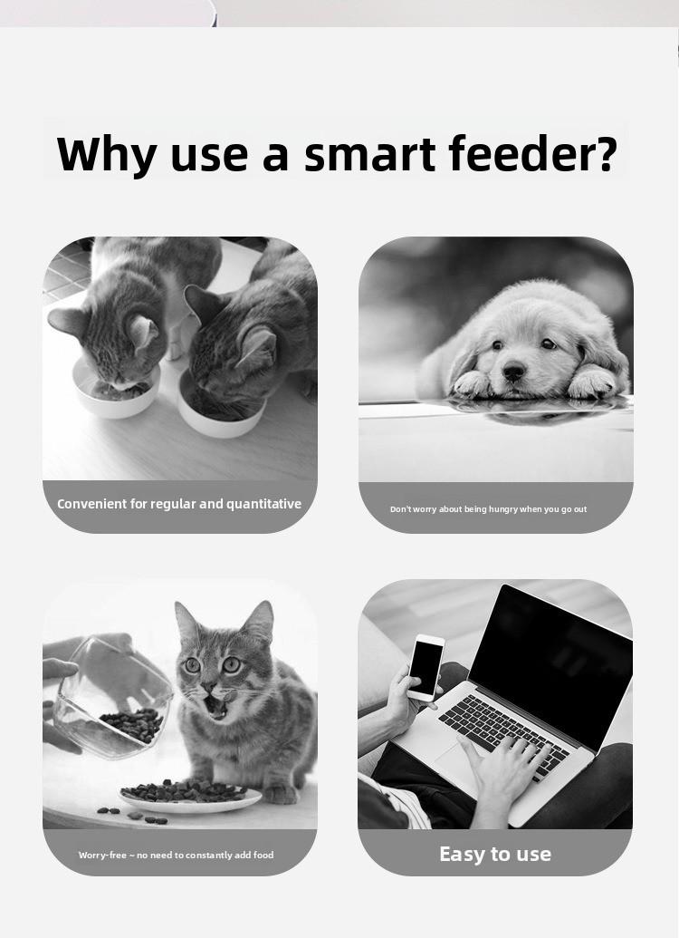 Pet intelligent feeder Remote control Timed quantitative automatic feeder Dog cat food feeder