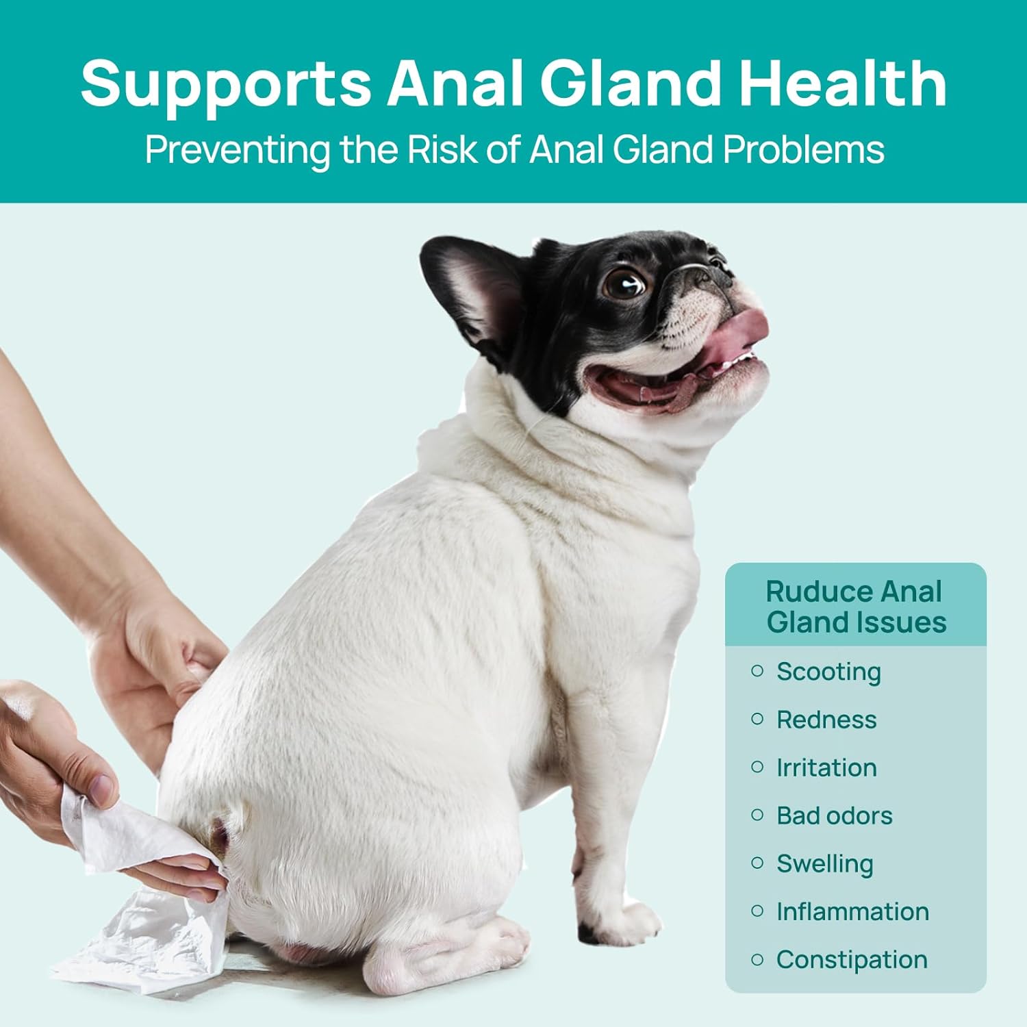 【SpringGlowUp】HICC PET Flushable Dog & Cat Anal Gland Wipes 100&400 Pcs Portable and Easy to Rinse Love Your Pet, Clean it Once a Day Hypoallergenic Grooming #petlife 【SpringGlowUp】HICC PET Flushable Dog & Cat Anal Gland Wipes 100&400 Pcs Portable and Easy to Rinse Love Your Pet, Clean it Once a Day Hypoallergenic Grooming #petlife