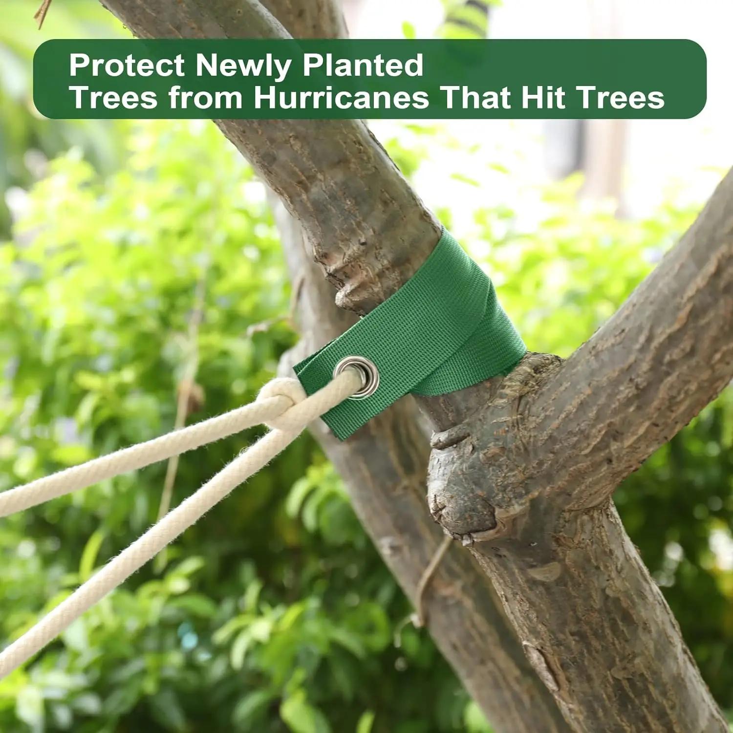 4/6Pcs Tree Support Straps, Durable Plant Stabilizer Bands for Seedlings, Wind & Hurricane Protection, Practical Garden Tree Fixing Accessories for Outdoor Plants