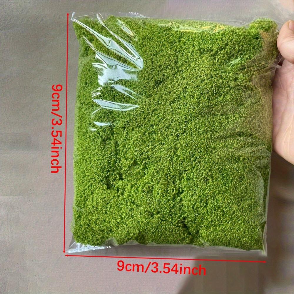Preserved Sheet Moss, Natural Green Decorative Moss for Plant Walls, Terrariums, Home Decor & Crafts, Long-Lasting No-Water Artificial Moss