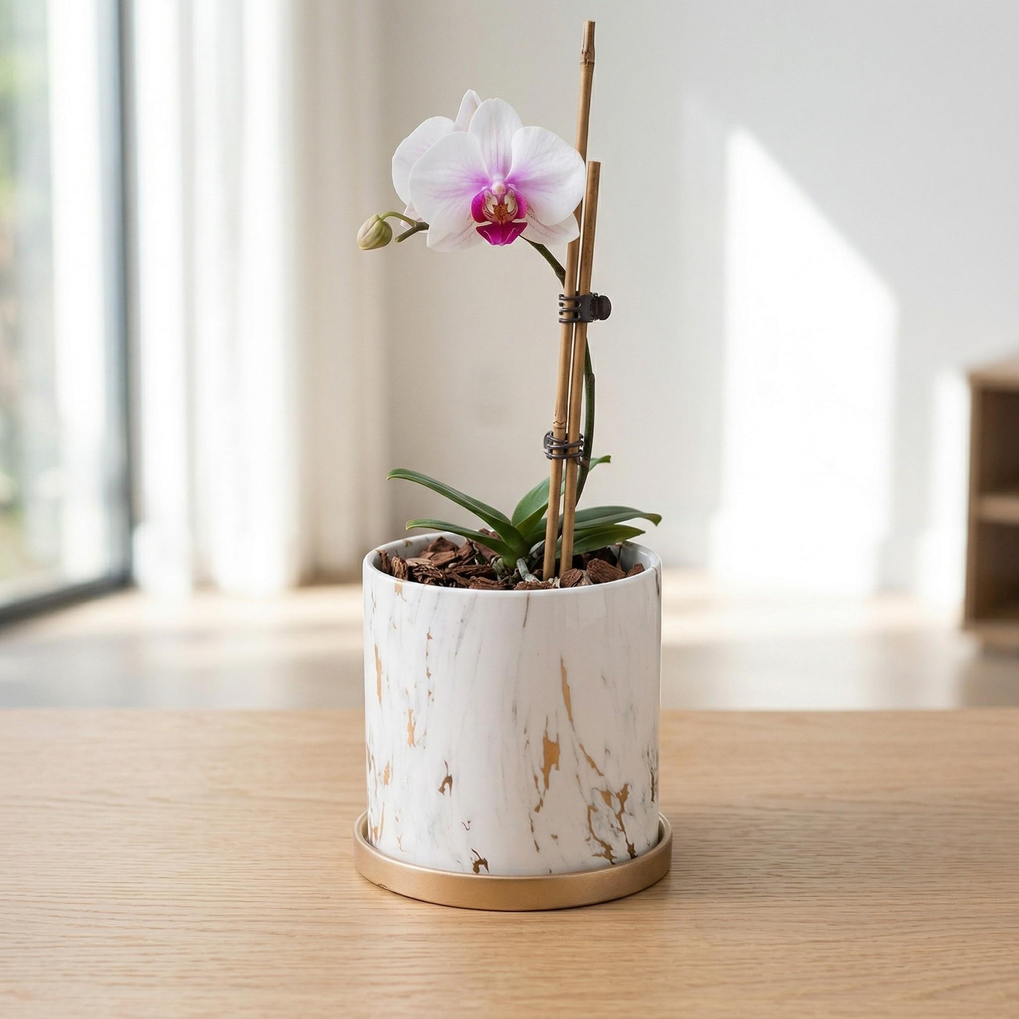 Butterfly Orchid Ceramic Small Flower Pot, Luxury High-End Marble Pattern Home Large Vase, Elegant Decorative Planter