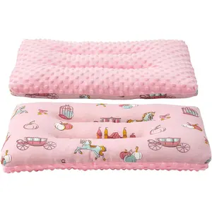 Toddler Pillow, 1Pcs, Double Sided Breathable Soft Cotton & Minky Dot Fabric Kids Pillow Cute Small Pillow Machine Washable (Pink Carriage)