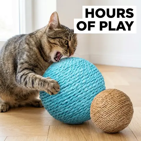 2 Pack Cat Toy Sword Ball Rolling Ball Extra Large Self-Entertainment Stress Relief Chew Stick Catnip Toys for Cats, Durable Interactive Playthings