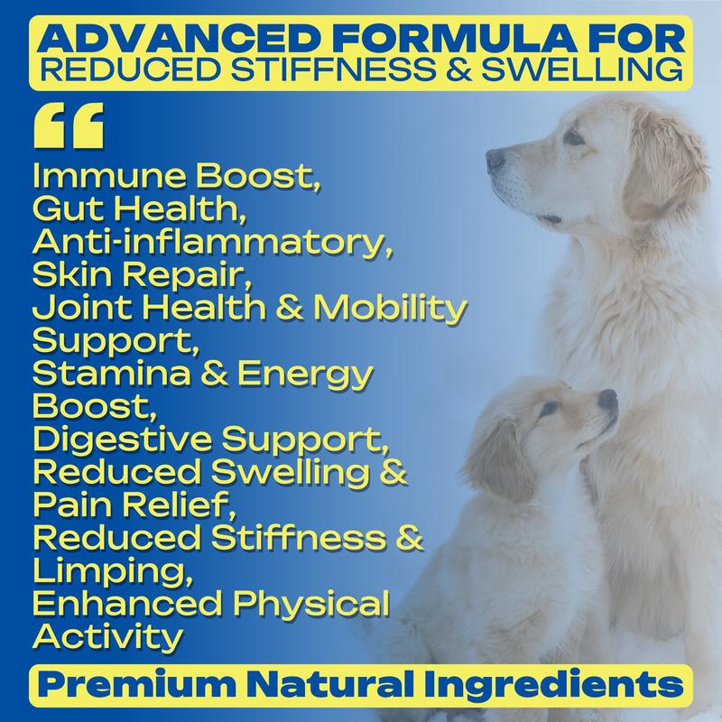 Yeast-Infection-Treatment for Dogs, Dog Ear&Skin Infection Relief, Natural Omega-3, Collagen, PAU D’Arco & More, Dog Vitamins for Itchy Skin