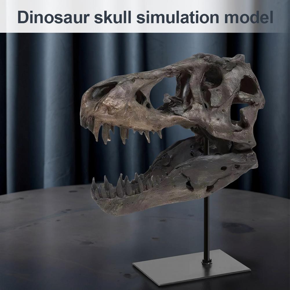 Dinosaur Skull Statue,Dinosaur Sculptures Bracket Tyrannosaurus Skull Replica Decoration Skull Bones Resin Replica with Bracket for Home Office Decor Shelf Display