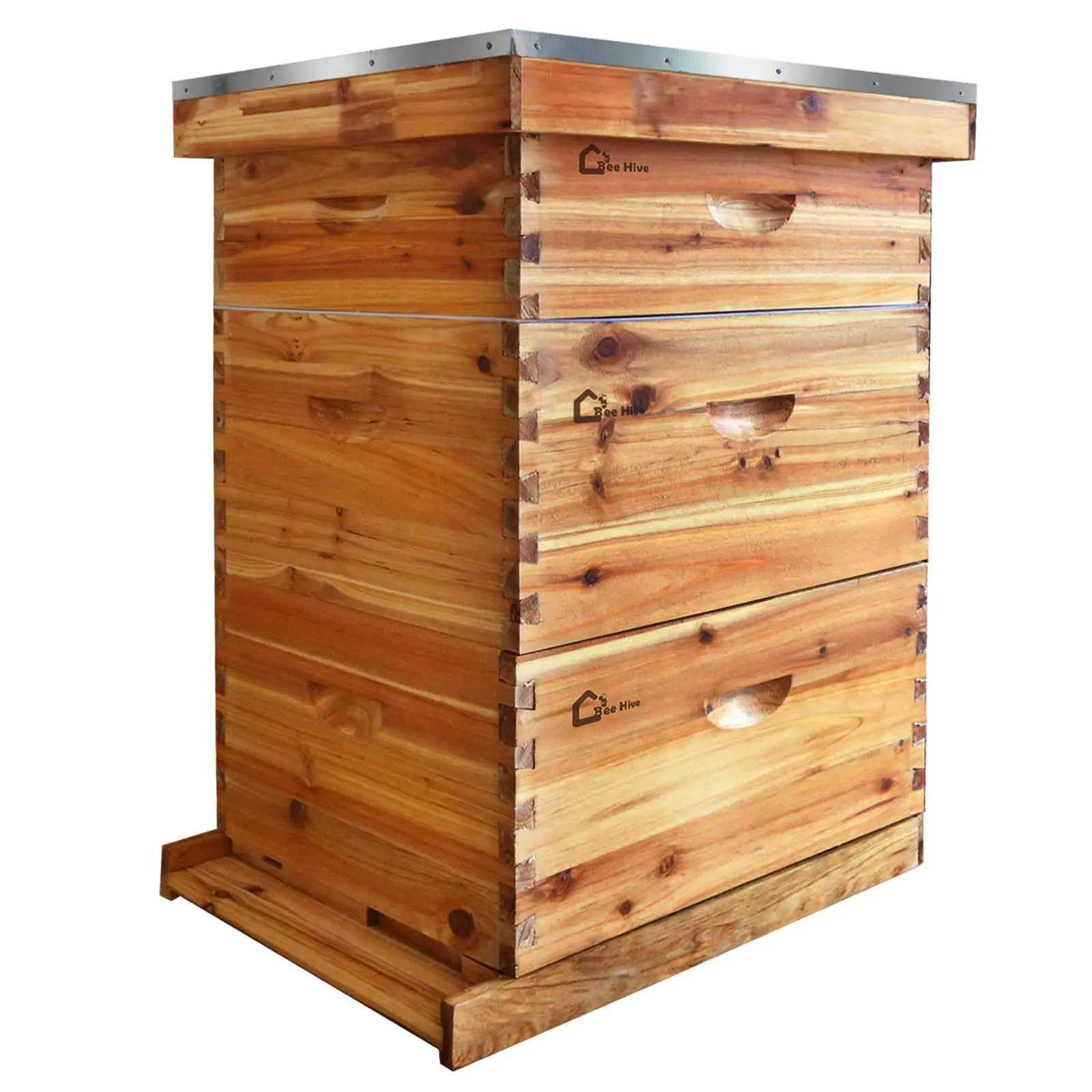 10-Frame Beeswax-Dipped Bee Hive Starter Kit for Beginner Beekeepers, Includes 2 Deep Boxes, 1 Medium Box, Beehive Frames and Wax Foundations (Home & Garden Beekeeping Supplies)
