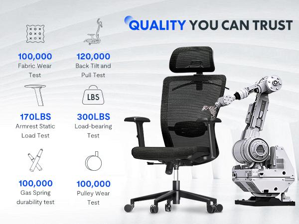 【TikTokShopBlackFriday】Executive Ergonomic Office Chair, Height Adjustable Mesh Computer Chair with Adjustable Headrest, Armrests, and Lumbar Support, Home Office Desk Chair, Gray