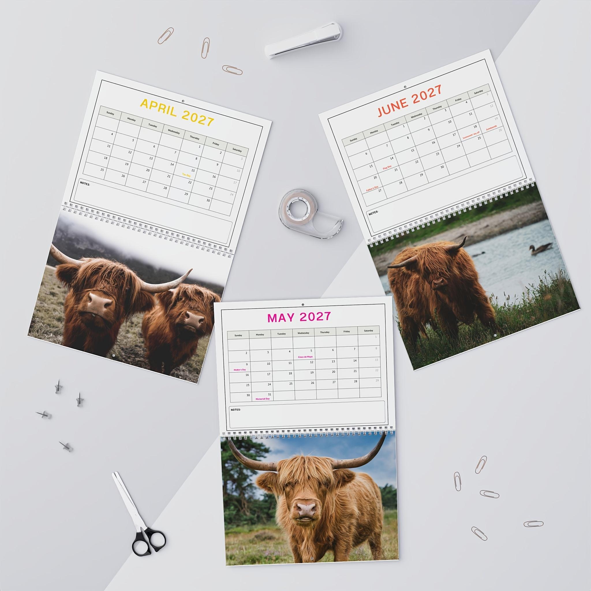 2027 Baby Highland Cows Wall Calendar, Cute Highland Cow Farm Animal Calendar, 12 Month Large Monthly Calendar, December, January, Rustic Farmhouse Gift