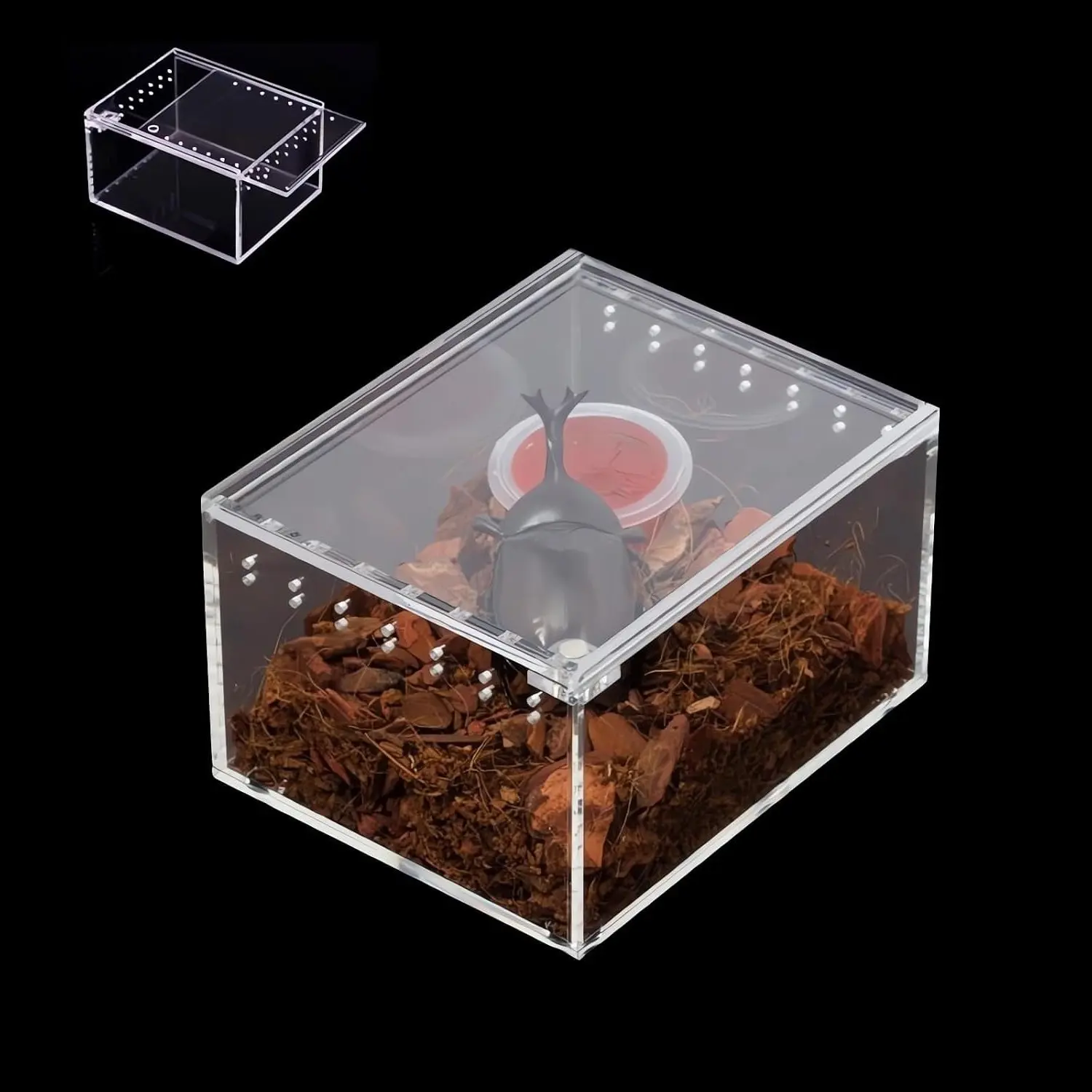 Waterproof Insect & Reptile Breeding Box Enclosure for Arboreal Tarantula, Scorpion Sling, Lizards, Snake, Gecko, Jumping Spider, Snail, Isopods (3.9 x 3.3 x 2.3 inch)Gift
