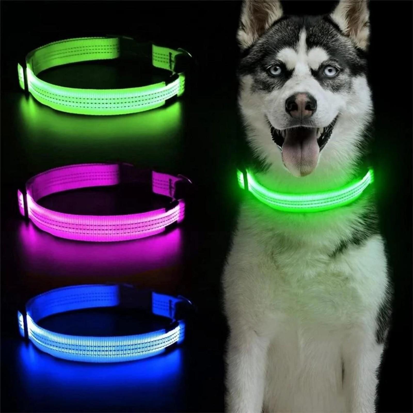 USB Charging Waterproof Reflective LED Dog Collar, Adjustable Glow Leash Light for Pets Camping Gear, Escape-Proof Safety Buckle Night Anti-Loss Collar for Small Medium Dogs Cats Outdoor Adventure, Illuminated Leash