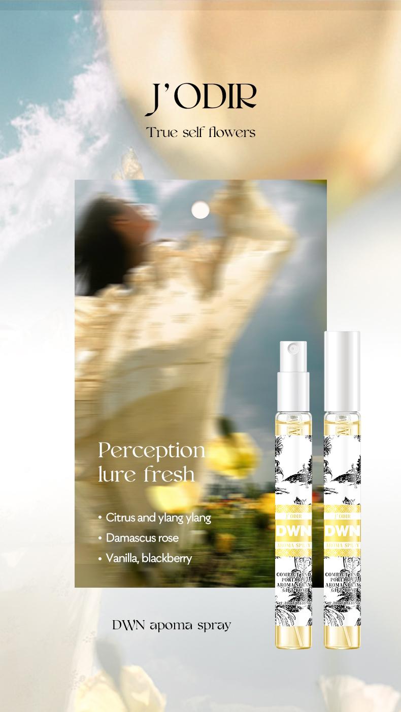 High-End Secret Perfume Set 10 X 10ML, Luxury Fragrances, Perfect Gift for Perfume Lovers, Perfume Sampler Set for Beginners