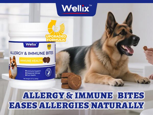Wellix 260-Count Dog Allergy Relief Chews - Dog Allergy and Itching Skin Relief & Immune Support for Itchy Skin and Itchy Ears, 100% Natural Ingredients