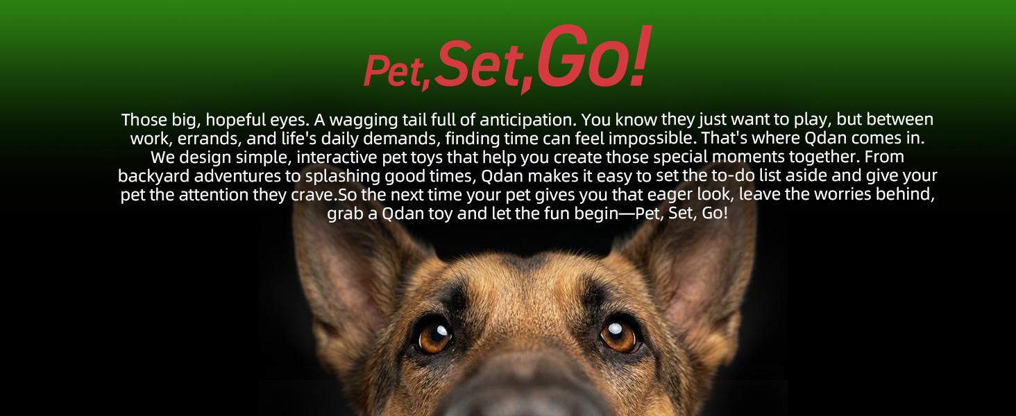 Glow in The Dark Dog Toys Soccer Ball with Straps, Outdoor Interactive Dog Toys Puppy Birthday Gifts, Dog Tug Water Toy, Light Up Dog Balls for Small & Medium Dogs（6 Inch Size 2）