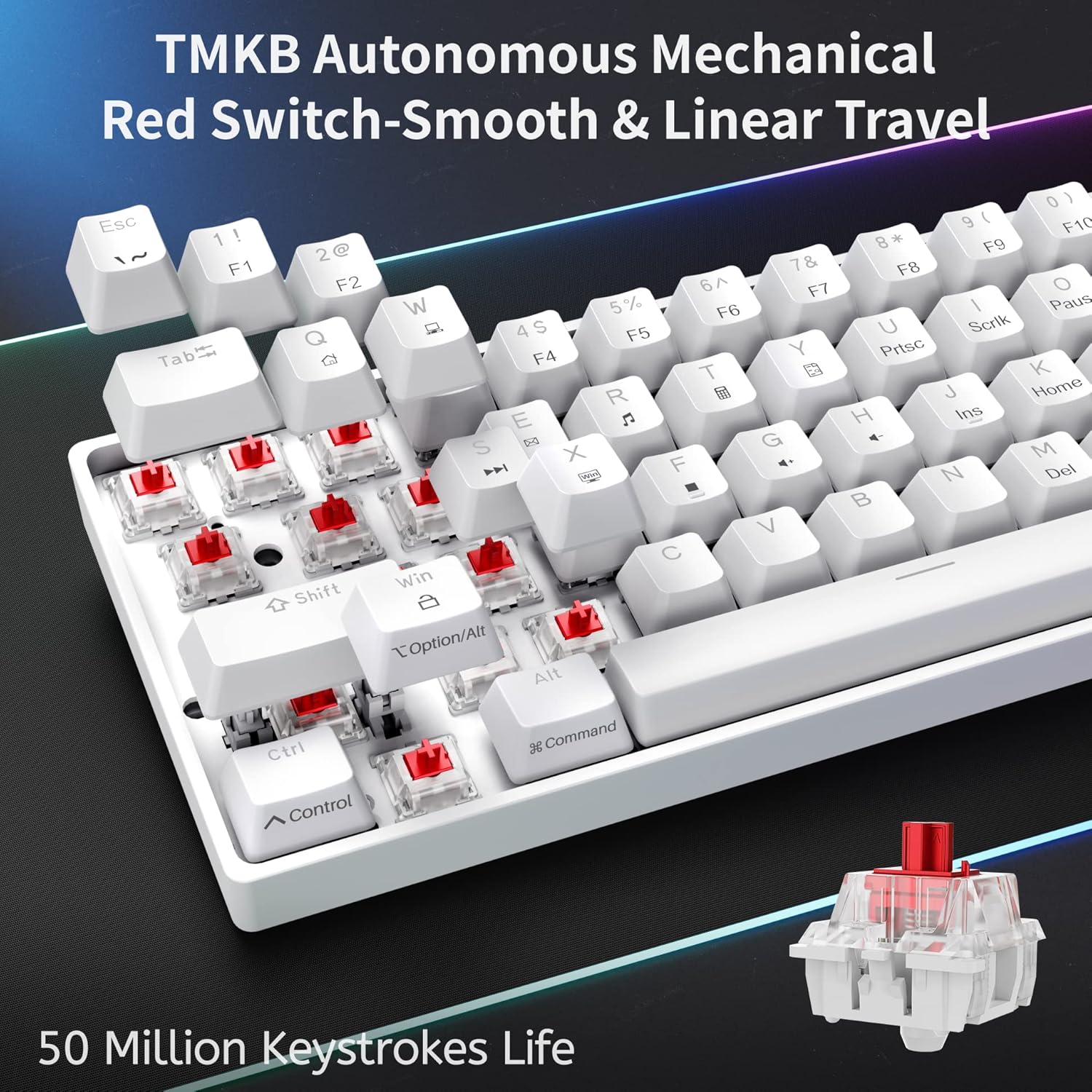 60% Mechanical Keyboard, DK61se Wired Gaming Keyboard with Red Switches, LED Backlit Ultra-Compact 61  Mini Office Keyboard for Windows Laptop PC Gamer Typist(White)