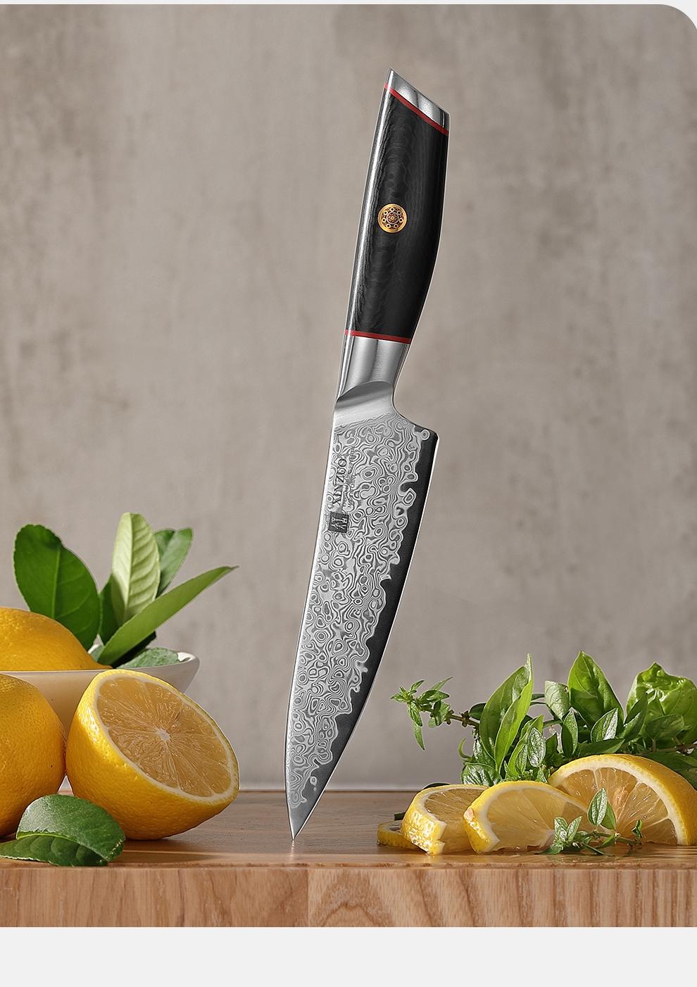 XINZUO Professional 5.3 Utility Knife, 67 Layers Damascus Steel Kitchen Knife, Hardness 60±2HRC, Carbon Fiber Pattern G10 Handle, Kitchen Cutlery for Home Use