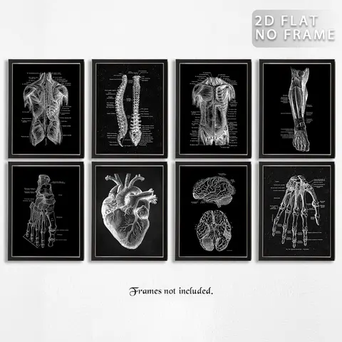 Skeleton Anatomy Pattern Unframed Painting, Unframed Art Print, 8pcs/set Vintage Simple Canvas Medical Wall Art Poster, Wall Art Decor for Home Classroom Office, Home Decor, Art Wall Decoration, Decorative Artwork, Skeleton Design