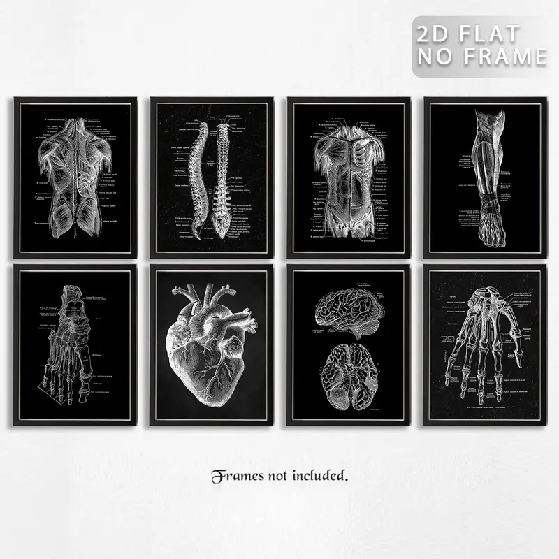 Skeleton Anatomy Pattern Unframed Painting, Unframed Art Print, 8pcs/set Vintage Simple Canvas Medical Wall Art Poster, Wall Art Decor for Home Classroom Office, Home Decor, Art Wall Decoration, Decorative Artwork, Skeleton Design