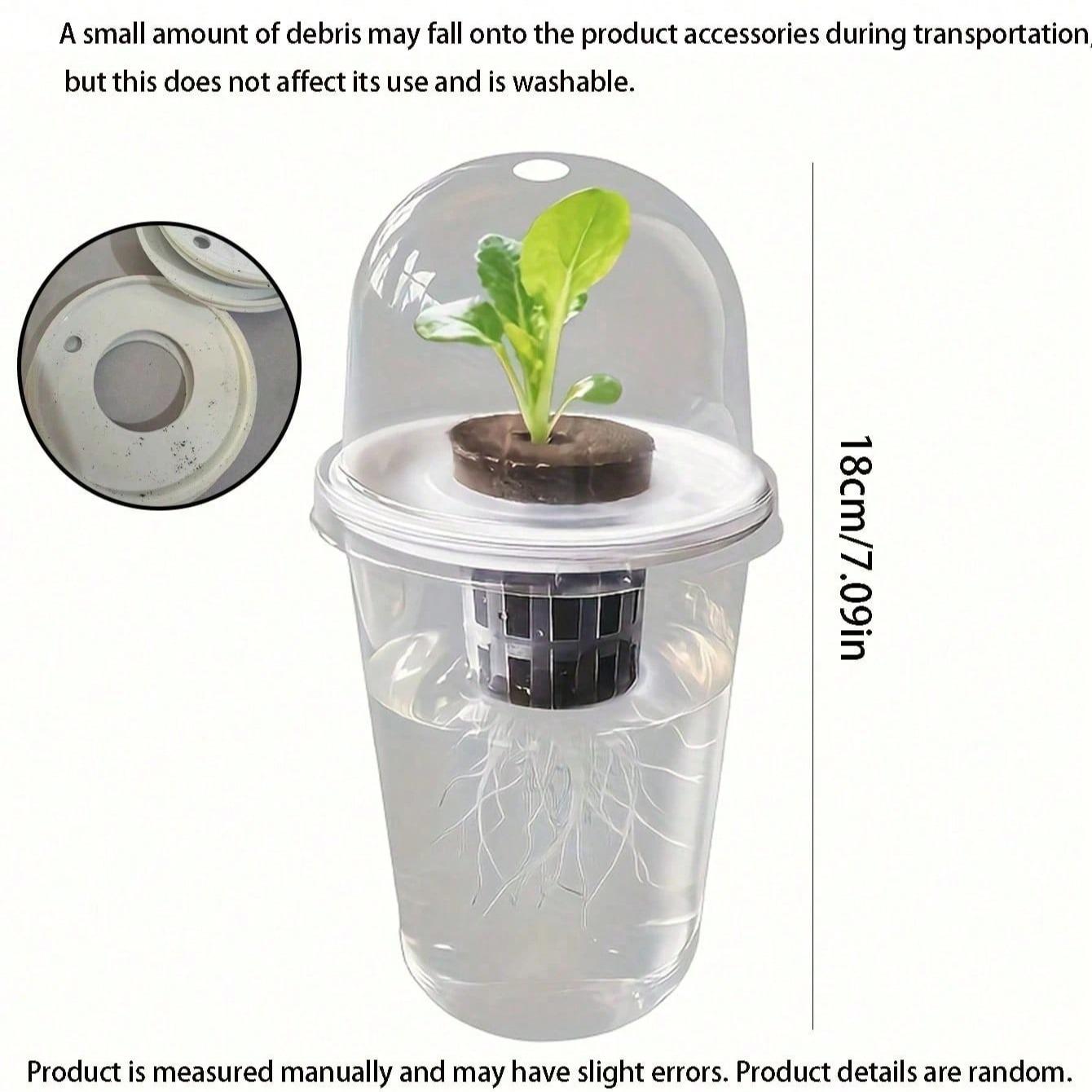 Transparent Hydroponic Seedling Pot, High Transparency Design, Aeration Feature, Ideal for Plant Propagation, Office Home Garden Decor