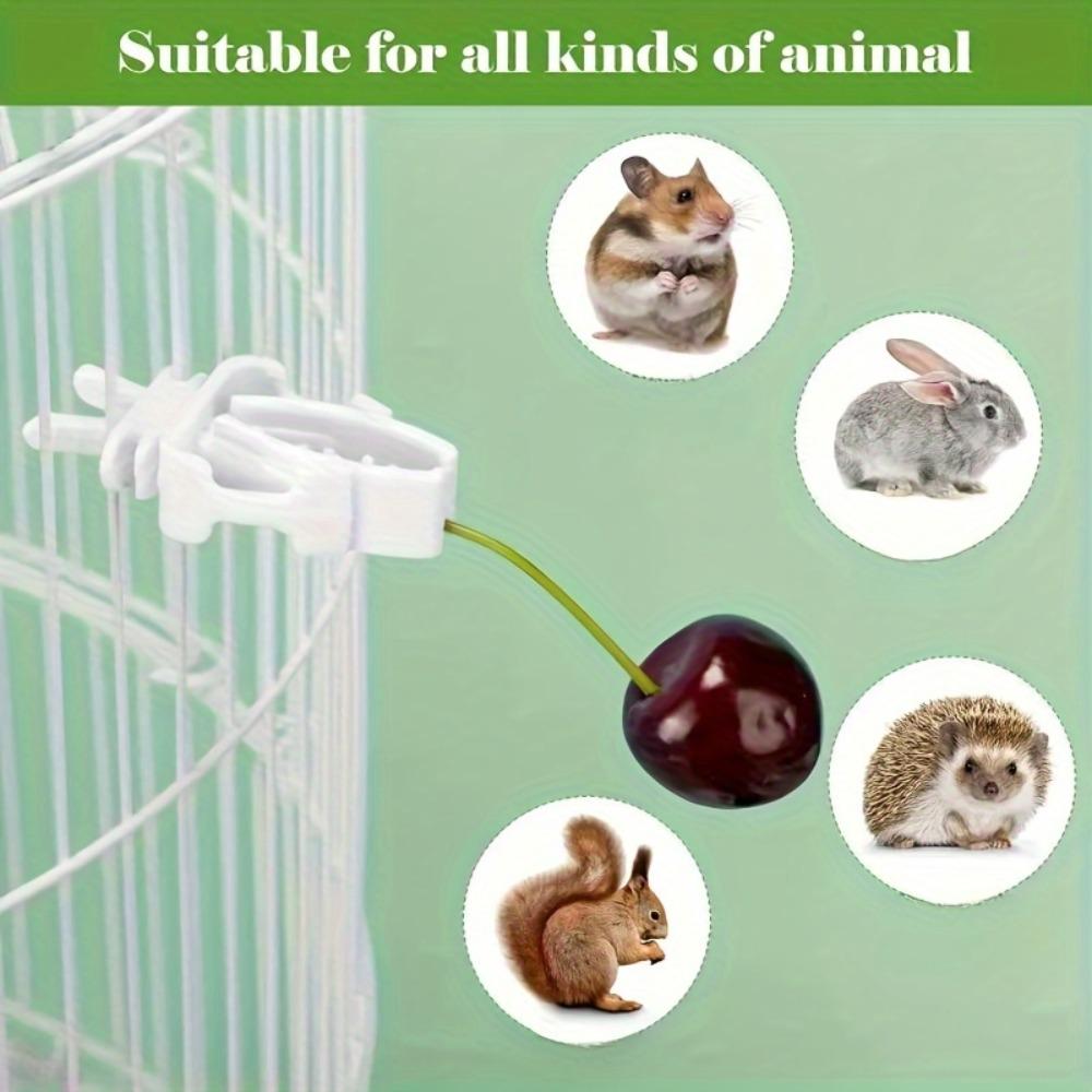 3 pcs Small Pet Bird Food Rack Parrot Fruit & Vegetable Clip Cuttlefish Bone Feeder Bird cage accessories Hanging Bird Feeder Bird Supplies