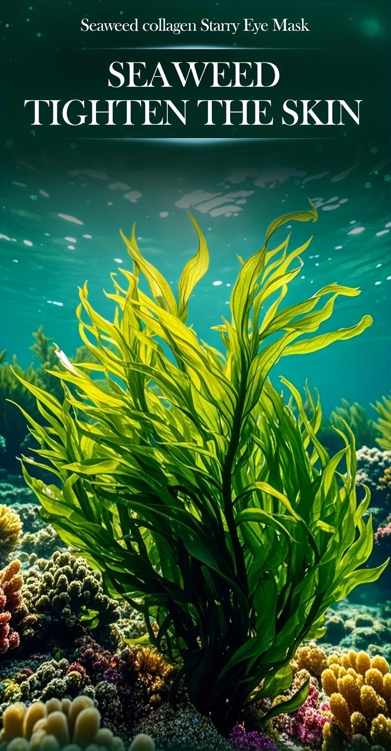 60pcs SADOER Collagen Gel Eye Mask for Dark Circles & Wrinkles - Seaweed Collagen Star-Shaped Patches, Sensitive Beige ('s Use), Hydrating Gel Patch to & Eye Wrinkles, Gel-Based Under-Eye