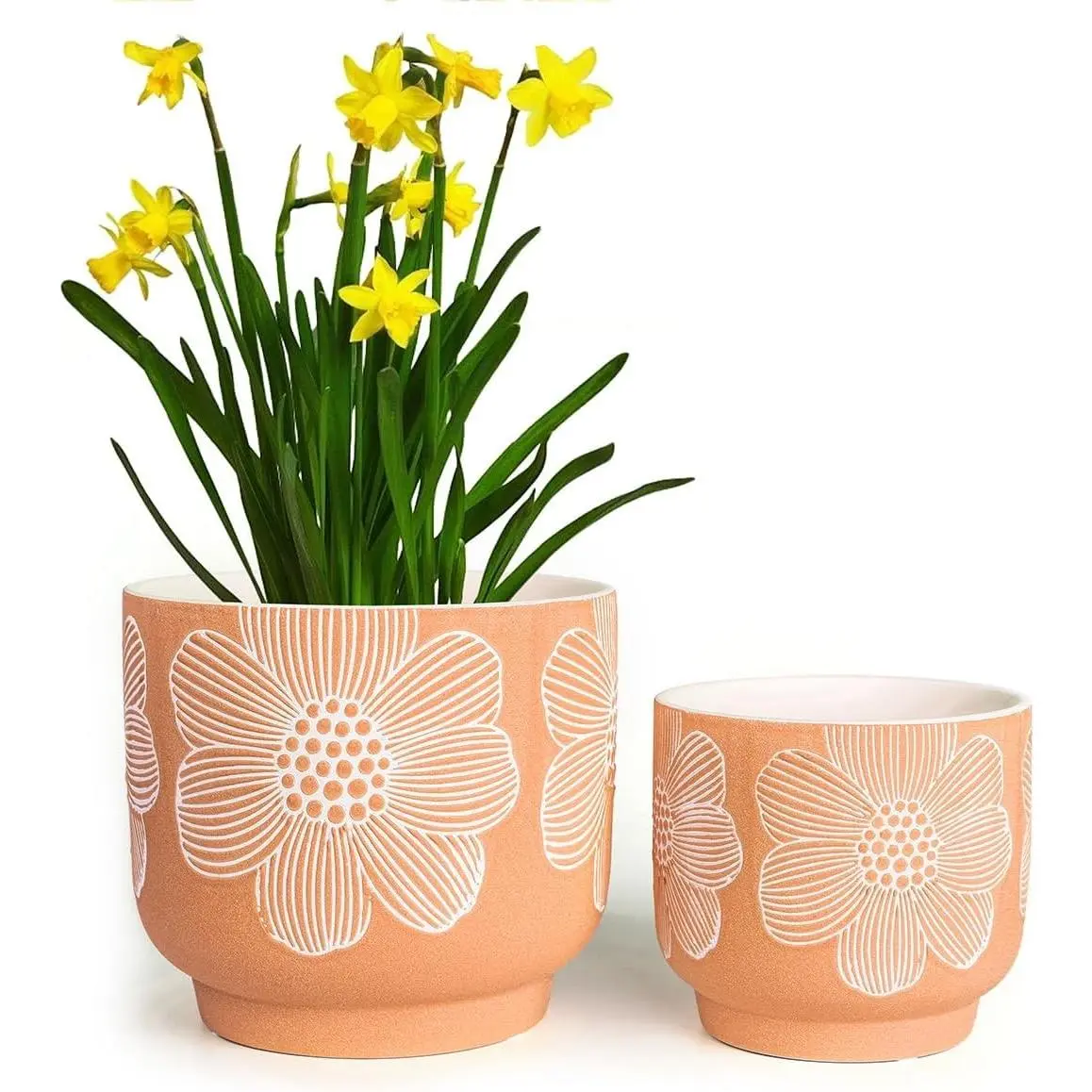 Modern Orange Floral