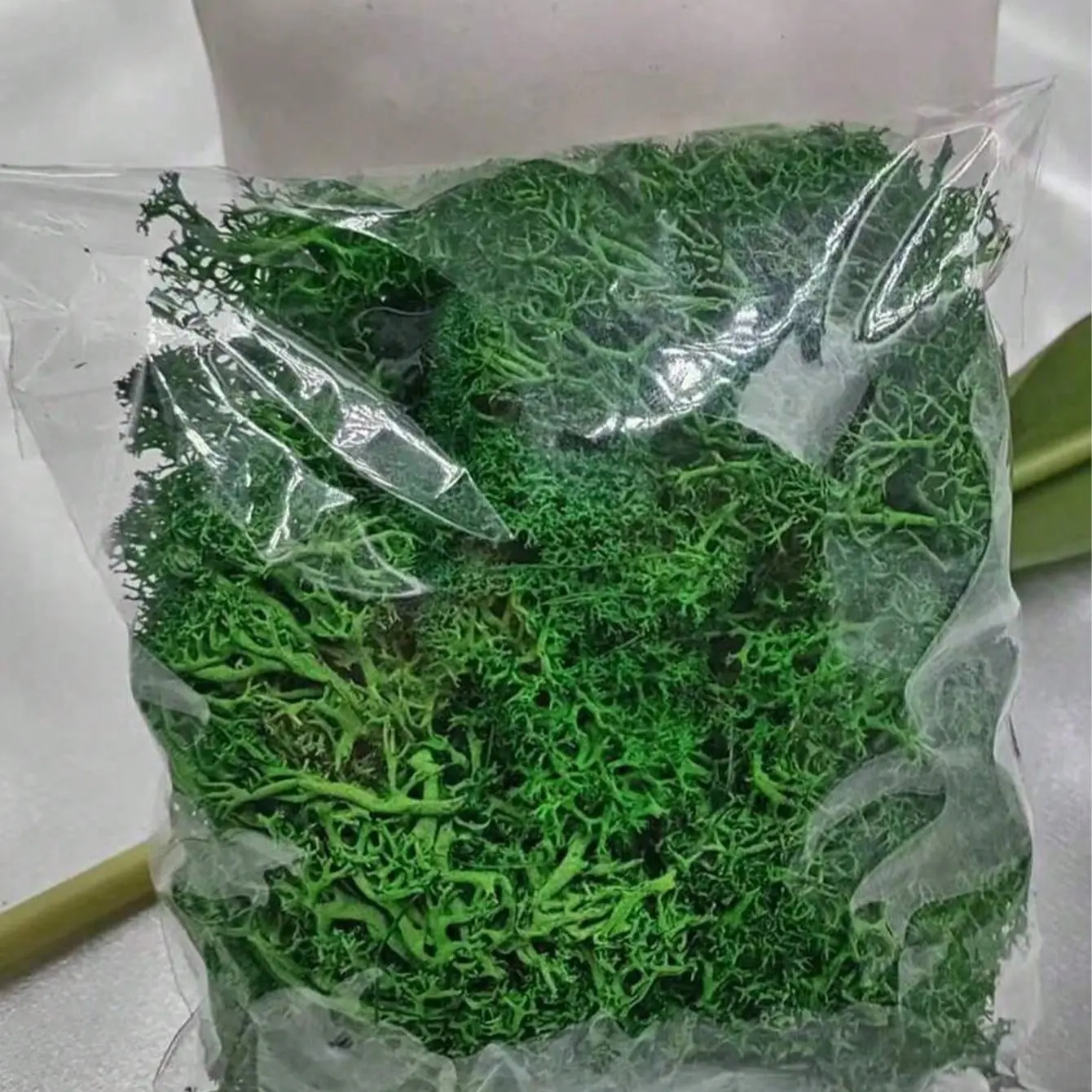 Realistic Artificial Moss, Artificial Simulation Plant, Dual-Purpose Decoration for Walls and Micro Landscapes, Perfect for Festive Gifts and Scene Decorations