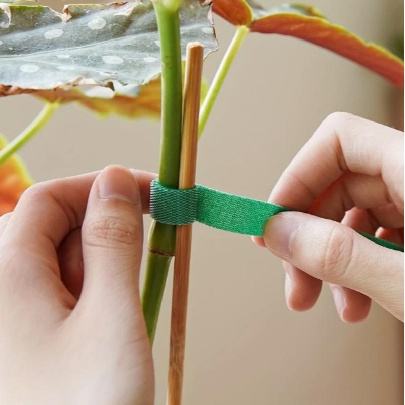3 Rolls Soft Garden Plant Tape, 1m Flexible Twist Tie, Ideal for Tomato Plants, Perfect for Gardening, Home, Office Use