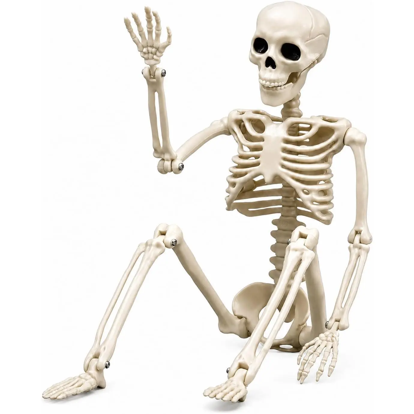 Halloween Skeleton Decorations, 16" Plastic Full  Posable Skeleton, Small  Skeleton for Halloween Decor, Graveyard Haunted House Props