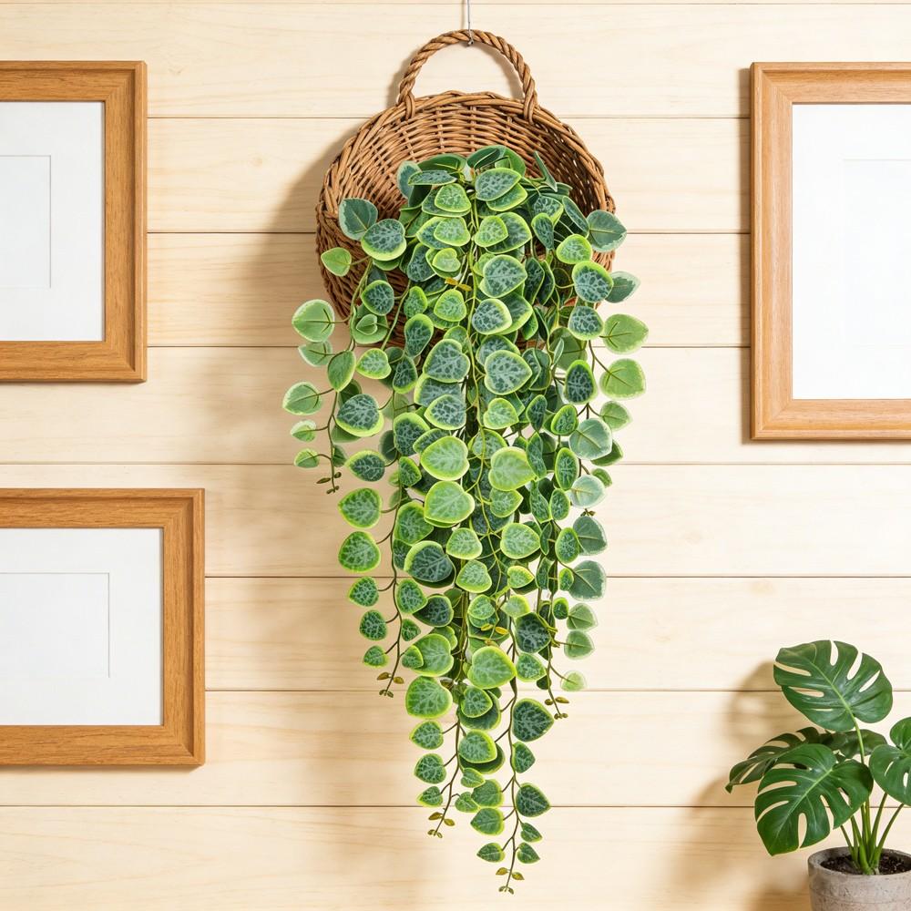 money tree. Buy Money Tree Braided - Good Luck Tree main image 0