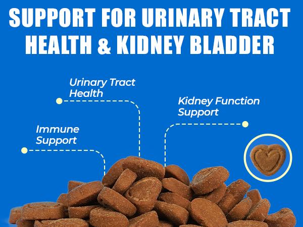 Just Try Urinary Tract Bites Cat Treat – Cranberry & D-Mannose Formula for UTI Prevention & Bladder Support, Chicken Flavor (6.35 oz, 300 Bites)