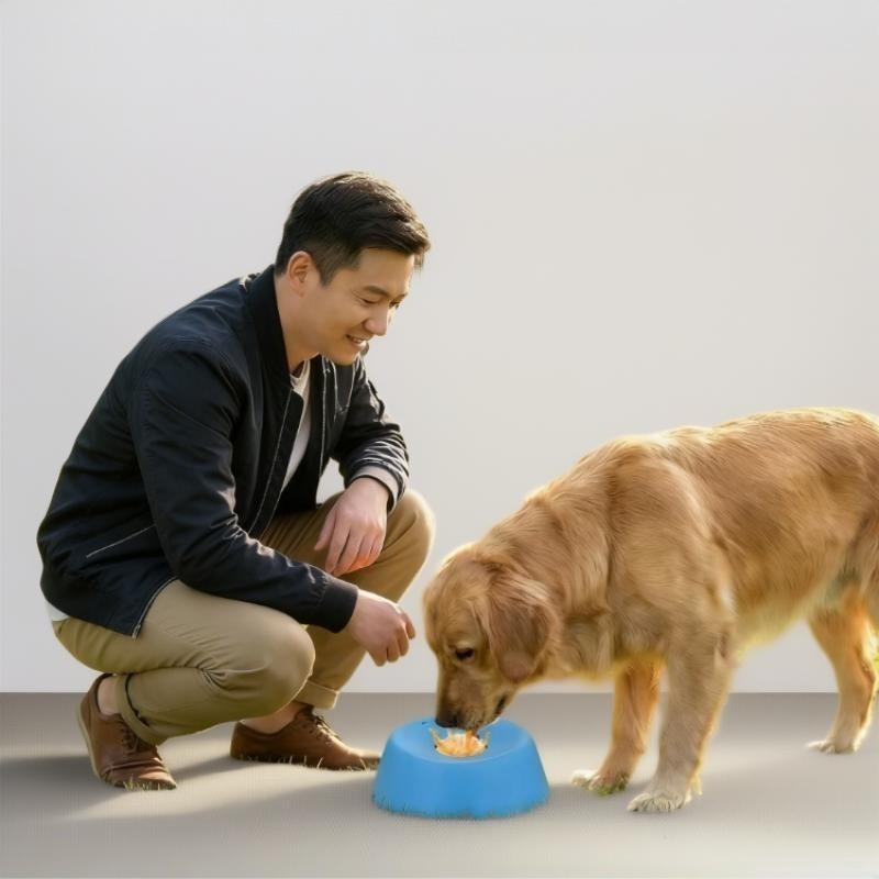 No More Choking! Dog Slow Feeder Bowl That Works