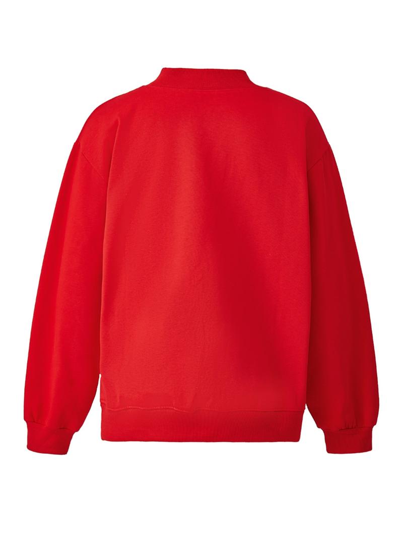 Women's Thick Warm Pullover Sweater, High Neck Long Sleeve Top, Casual Loose-Fit Winter Fashion, Plain Pattern, Fall & Winter Wear