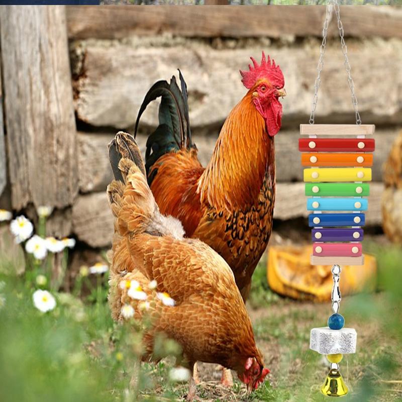 Random Color Chicken Swing & Feeder Net, Chicken Swing & Feeder Net Wood Bird Grinding Teeth Toy, Farm Animal & Poultry Supplies