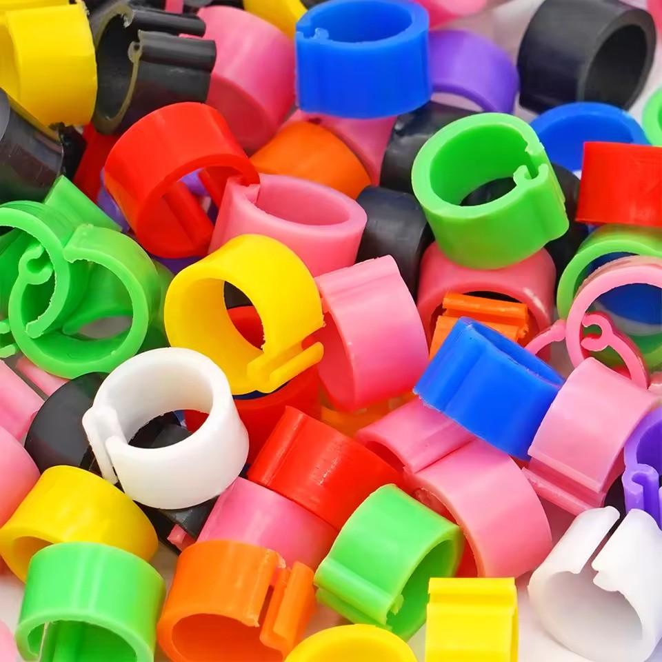 Colorful Parrot Pigeon Foot Rings Set of 50, No-Word Identifier Bands, Bird Training Tools, Plastic Anti-Drop Feet Clips, Pet Bird Accessories