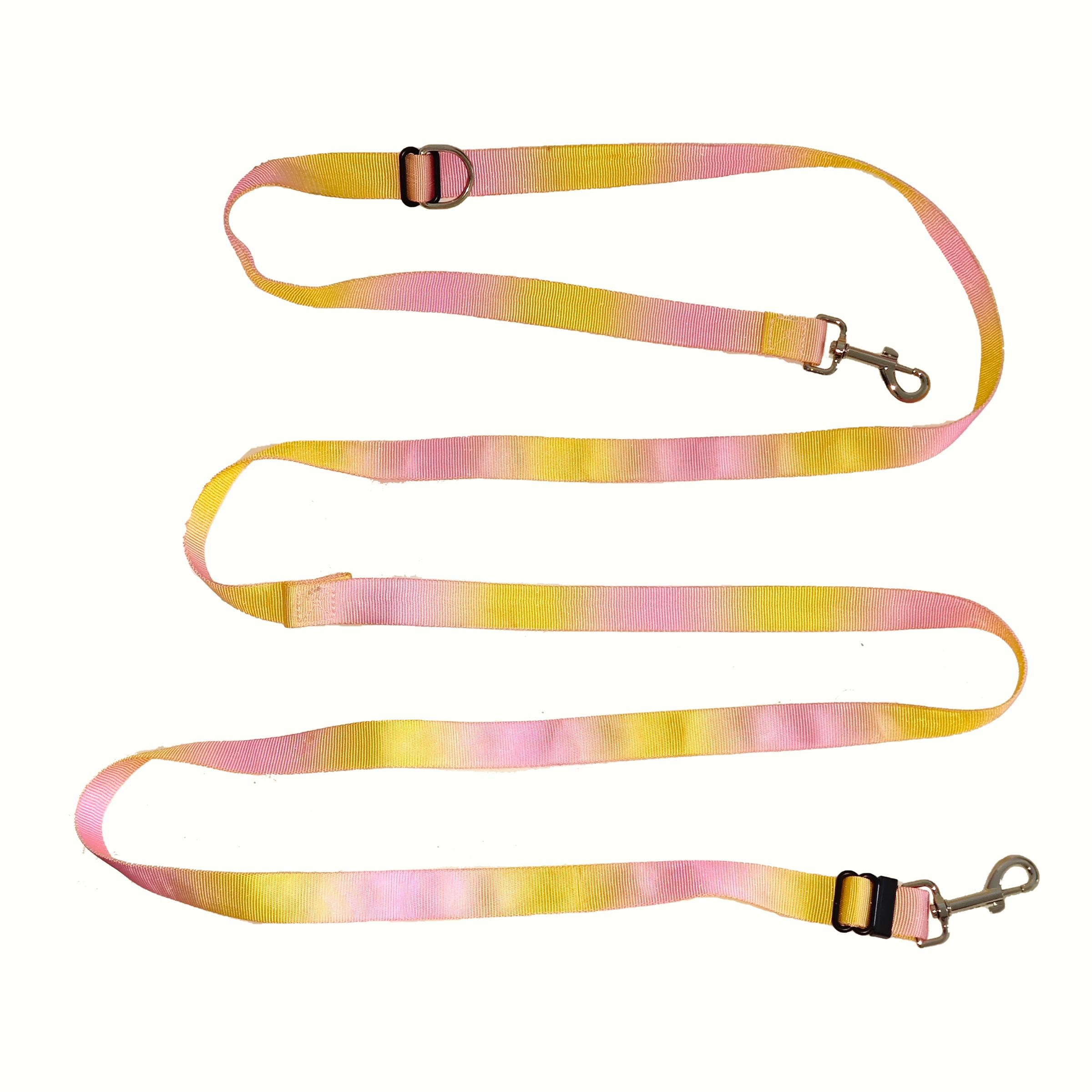 Adjustable Pet Leash, Gradient Color Outdoor Dog Walking Leash, Durable and Comfortable Pet Harness, Ideal for Daily Walks