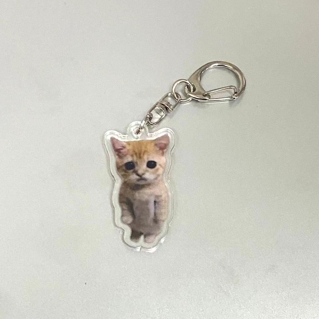 Banana Cat Acrylic Keychain, Funny Cat Bag Charm, Unique Accessory for Bags and Keys, Perfect Gift Idea, Durable and Stylish Design