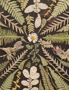 background preload poster image 