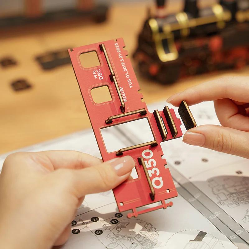 Rolife Steam Journey 3D Wooden Puzzle TGS01