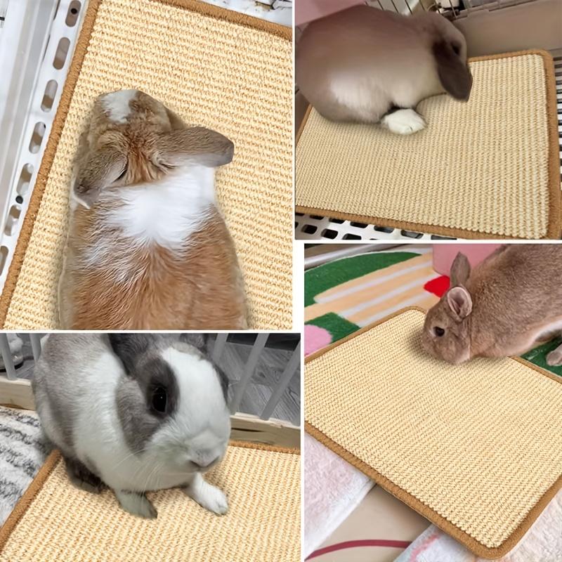 Natural Rabbit Scratching Pad, Random Pattern and Color, Claw and Tooth Care, Pet Cage Mat, Chew Toy, Suitable for Small Animals, Natural Sisal Scratcher