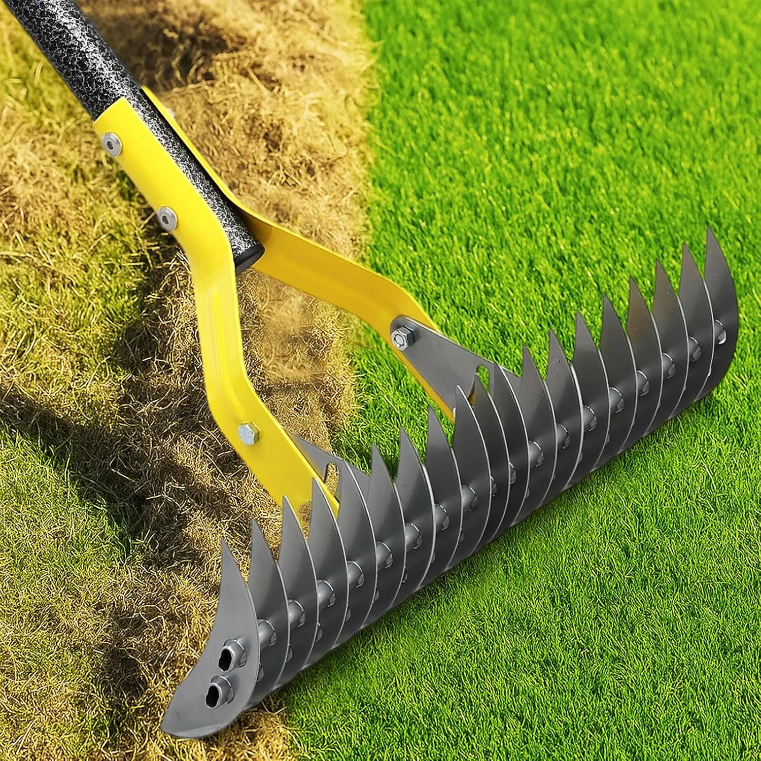 -Action Thatch Rake for Lawn - Efficient 15" Thatching Rake with  Dethatching ,Manual Dethatcher & Scarifier Tool for  Grass Removal,Soil Loosening,Garden Yard Lawn Care,55" Long