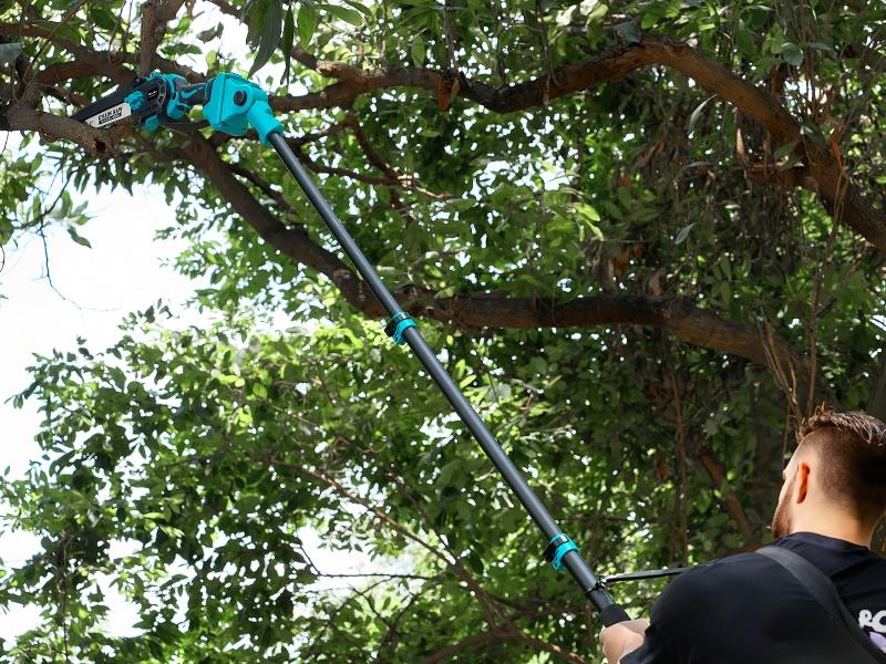 SeeSii 2-IN-1 Cordless Pole Saw & Mini Chainsaw, 8-inch Electric Saw Brushless with 2 * 4.0Ah Battery, 16-Foot MAX, Chain Saw with Extension Pole for Wood Cutting Trimming Branch CH810 #TikTokShopBlackFriday