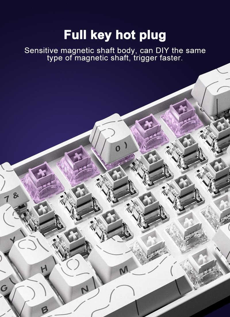 AULA Win60 HE wired game keyboard, 60% arrangement, 61-key portable mini layout, cool RGB lighting effect, sensitive magnetic axis, high-performance chip, compatible with Windows/AMC system, suitable for e-sports office, Gaming Keyboard, Backlit Keyboard