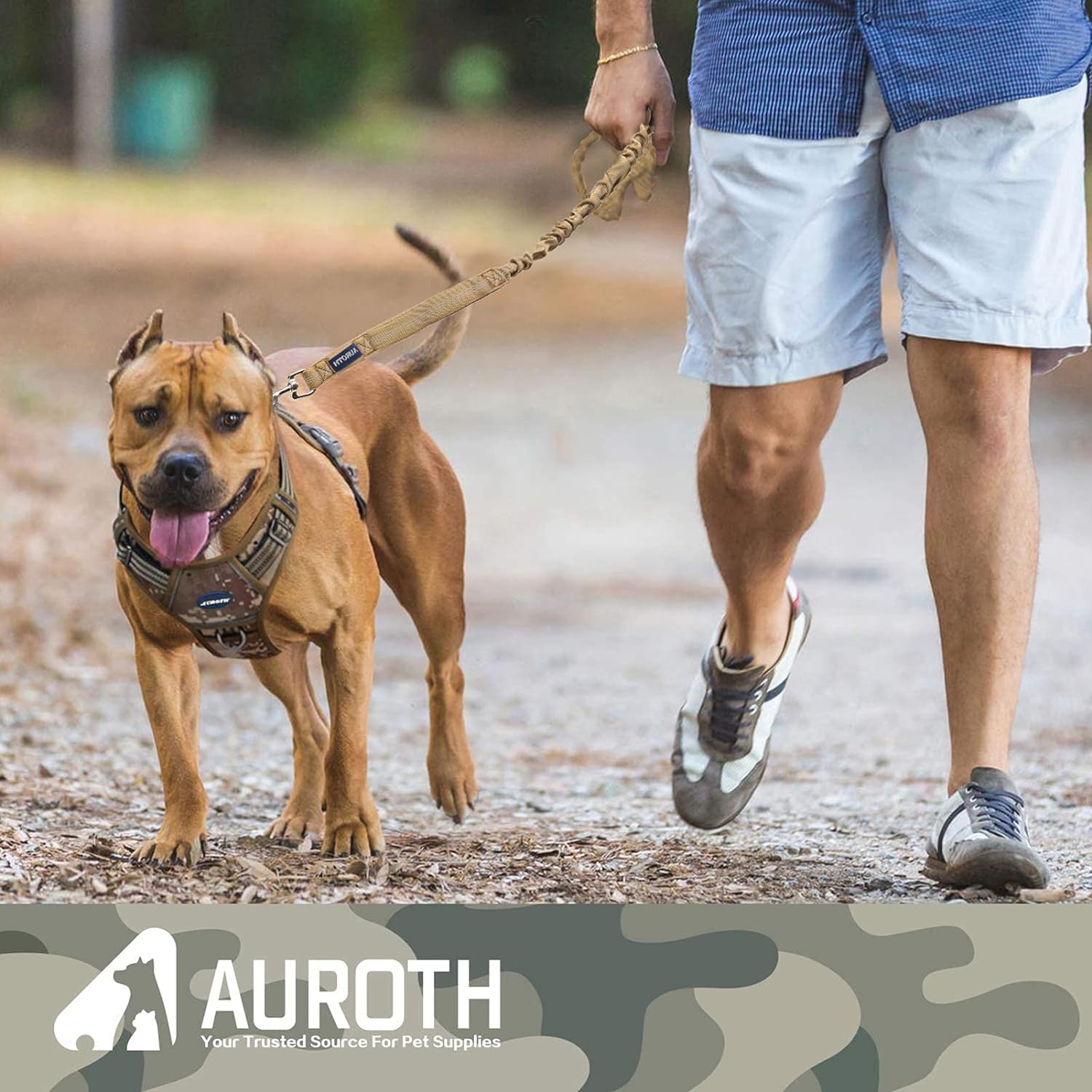 【AUROTH】 Dog Leash , Heavy Duty Dog Leash Bungee, No Pull Dog Leash for Shock Absorption, Dog Training Leashes for small Medium Large Breed Dogs 6FT, 2 Padded Handles，cat leash