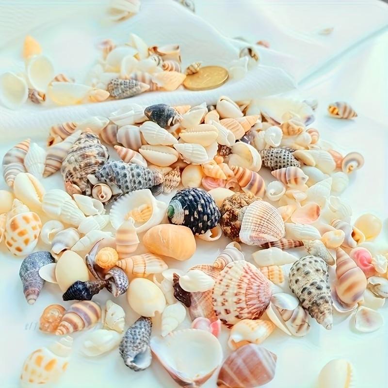 Colorful Mini Shells, Various Patterns and Colors, Ideal for DIY Crafts, Collage Art, Bottle Decorations, Fish Tank Accessories, Gift Ideas