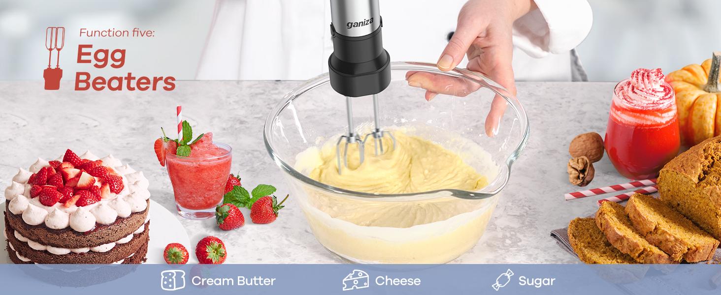 Ganiza Immersion Blender Hand Blender Heavy Duty Motor, 16 Speed