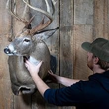 Skull Hooker XXL Bone Bracket Large and XL Game