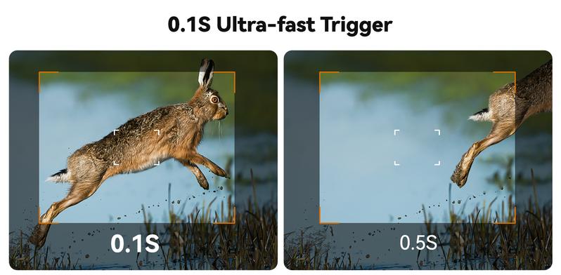 Solar 4G LTE Trail Camera | 2K Live View Cellular Hunting Cam, Motion ...