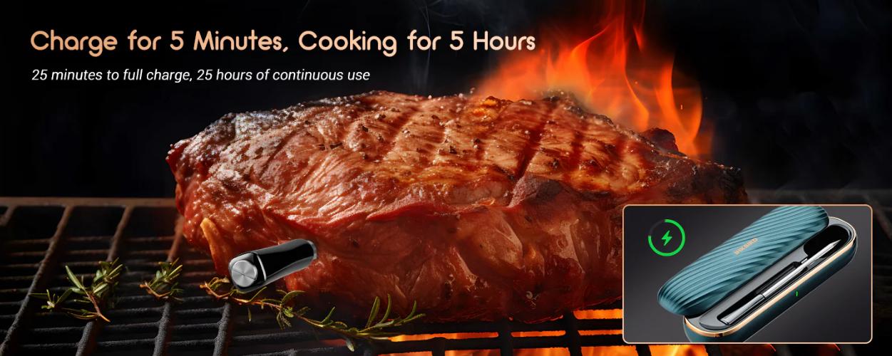 INKBIRD meat thermometer, wireless Bluetooth thermometer, suitable for barbecue, cooking, parties, kitchen utensils，Holiday Gifts-TikTokShopBlackFriday