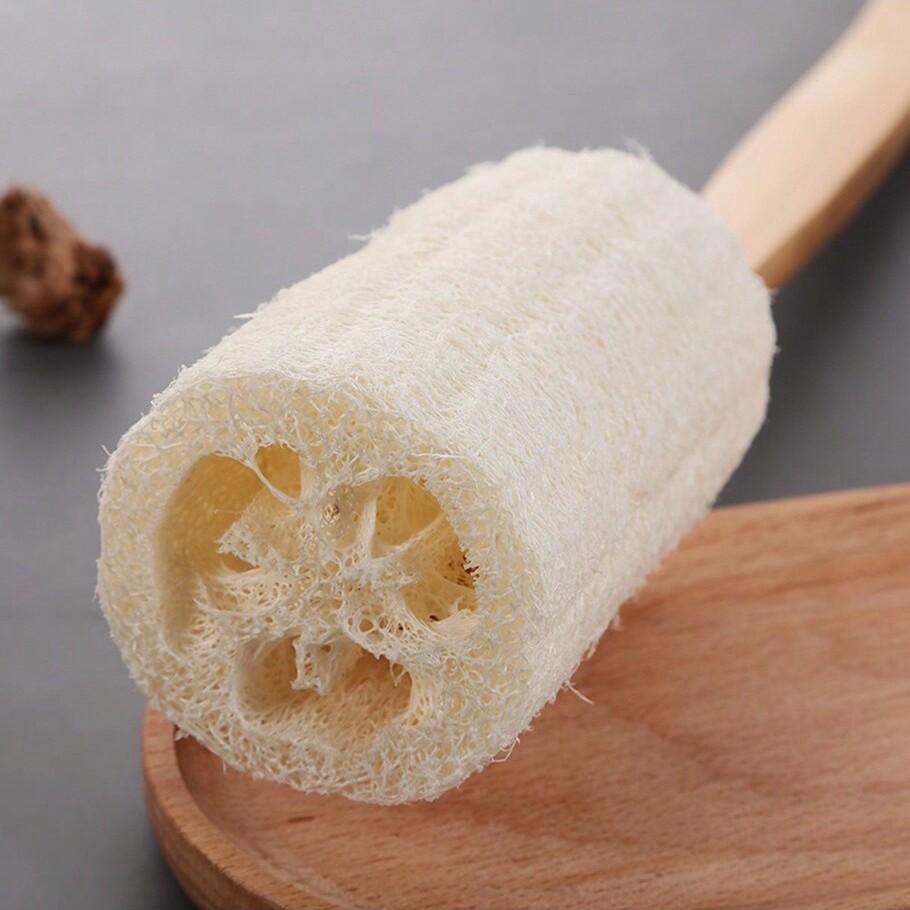 Long Handle Loofah Bath Brush, Exfoliating Back Scrubber, Anti-Itch Skin Cleanser, Loofah Sponge Body Brush, Dead Skin Remover