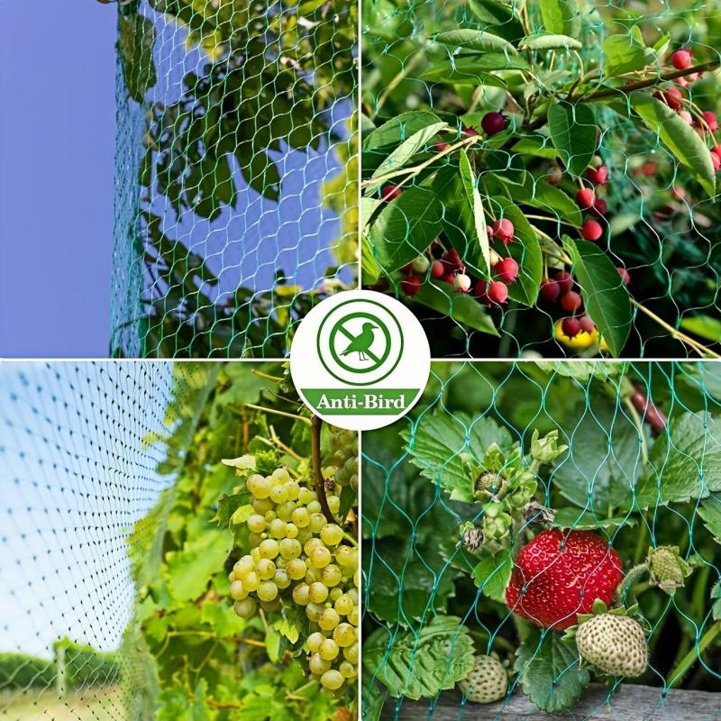 Garden Plant Protection Net, Bird and Animal Barrier, Fruit Trees, Vegetables, Flowers, Vine Climbing, Poultry Fence, Fish Pond Guard